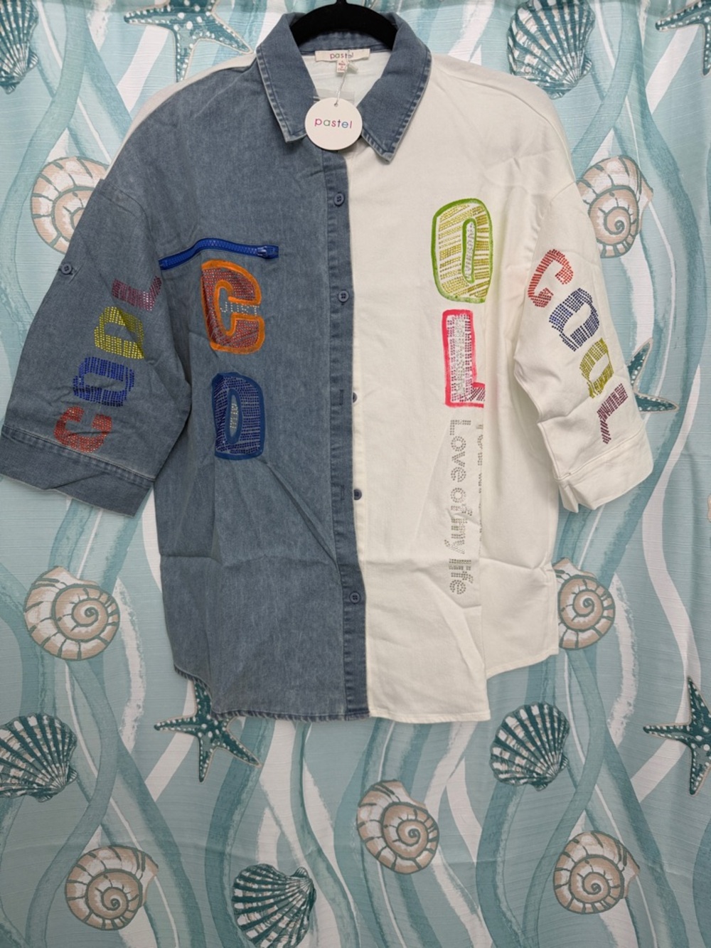 Pastels Two-Tone Embroidered Button-Down Shirt - Blue & White